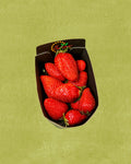 Hollandse Aardbeien