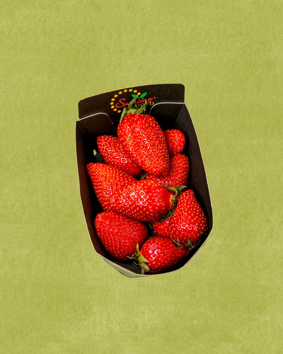 Hollandse Aardbeien