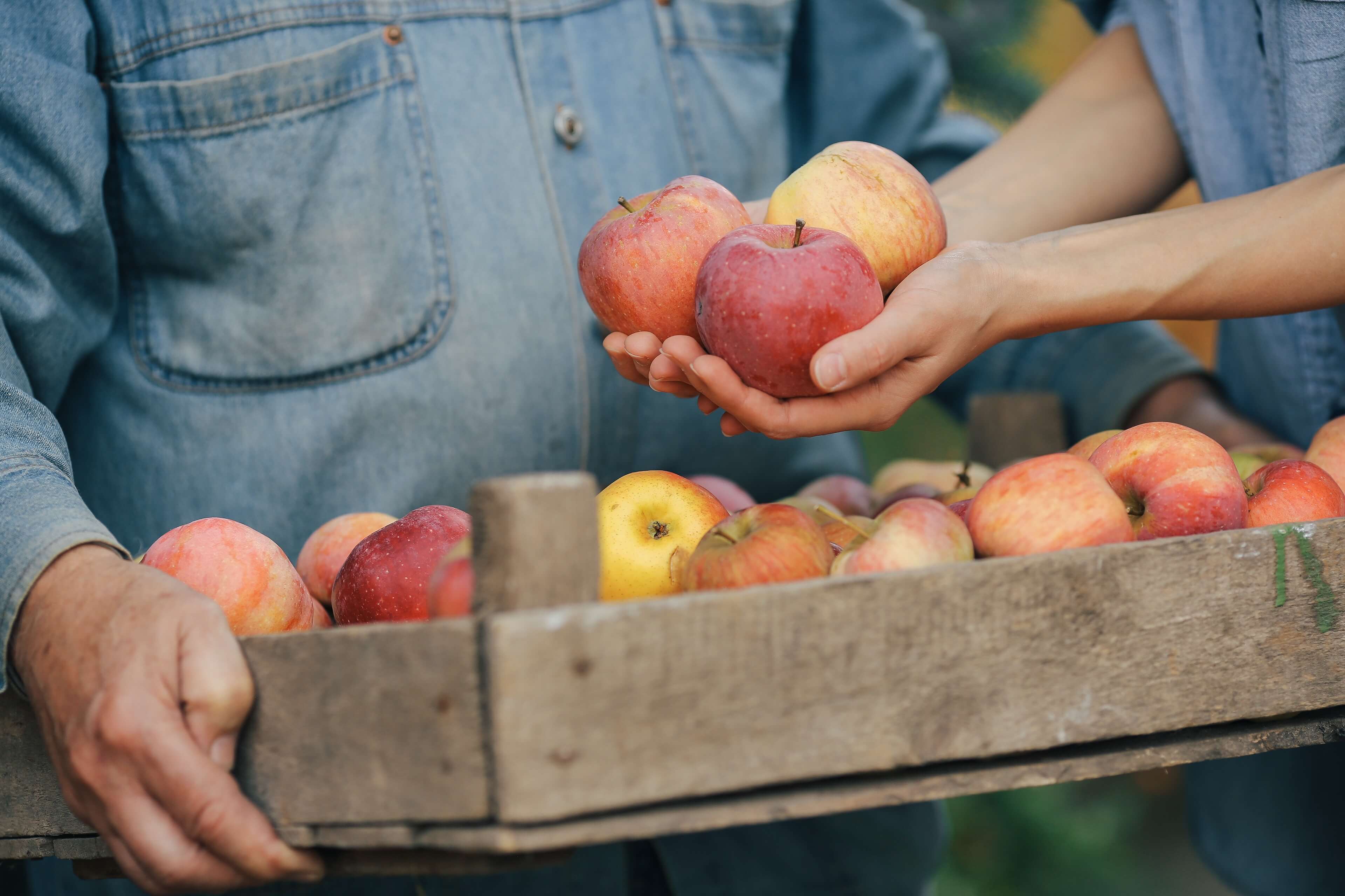 selectie van vers fruit met de hand in houten krat